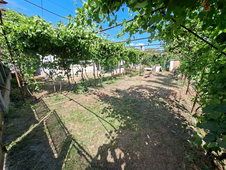 Vând proprietate în comuna Rogova (25km de Severin) având suprafața de 1140mp.