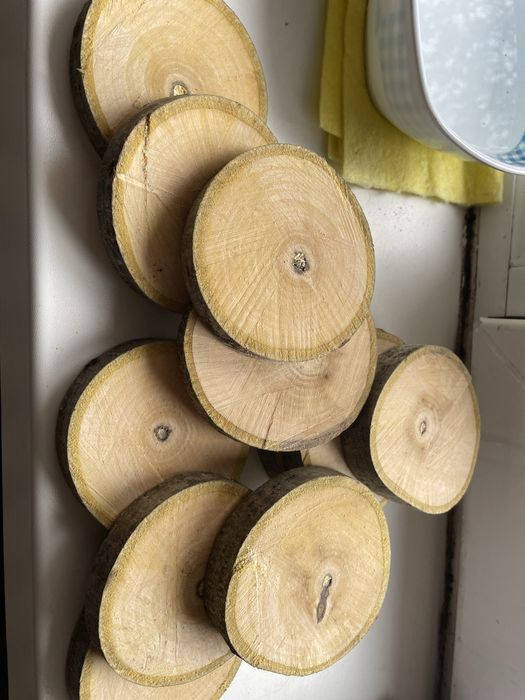 Rondele felii de lemn esenta tare decorativ didactic