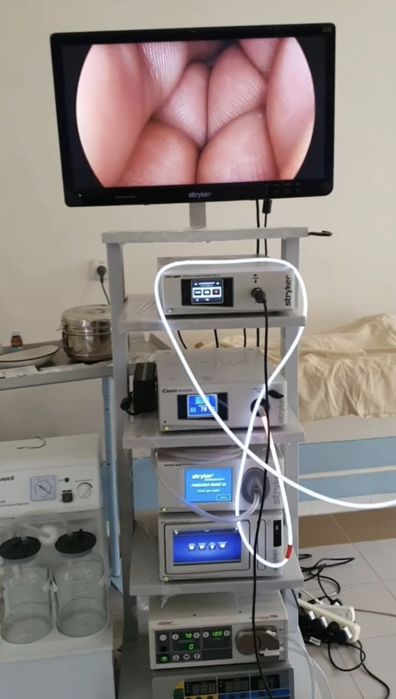 STRYKER 1588 4K. 30.000$