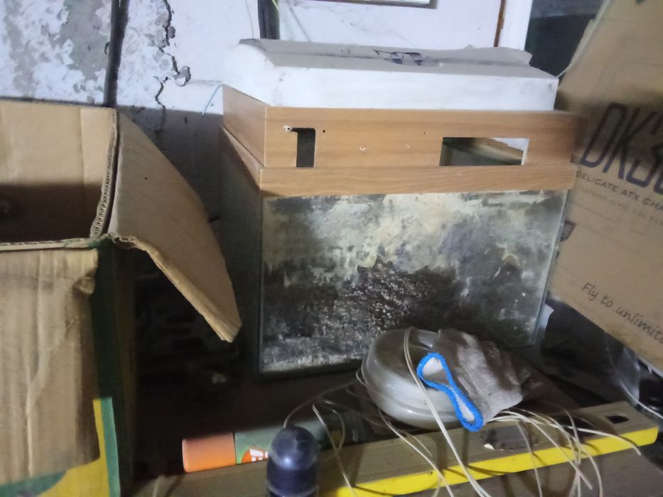 Аквариум для рыб