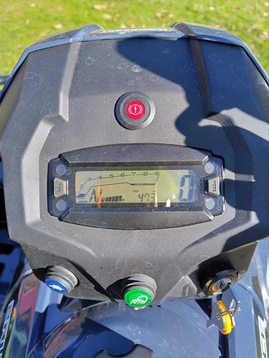 Kawasaki Brute Force 450