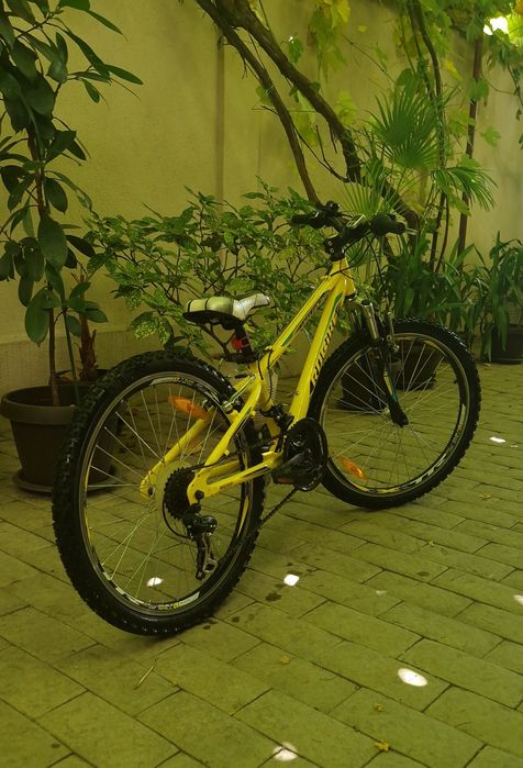 Bicicleta copii Robike Hattrick 24 inch