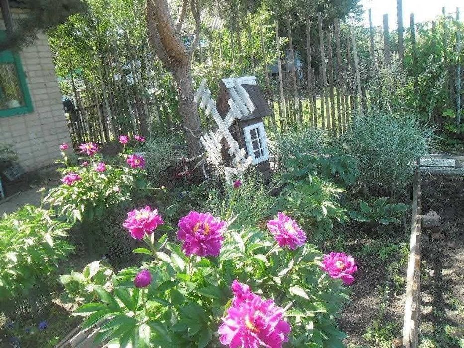 Продам Дачу . с. т Горизонт