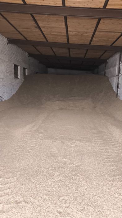 Овес сулы сулу кормовой