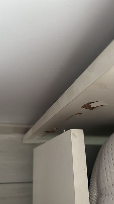 Ремонт  кровати.    дивана  шкафа