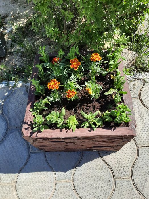 Вазон для цветов