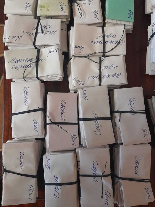 Продам свои семена помидор и перца.