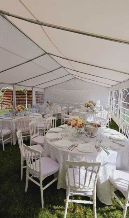 Cort profesional evenimente , manechin , masuta