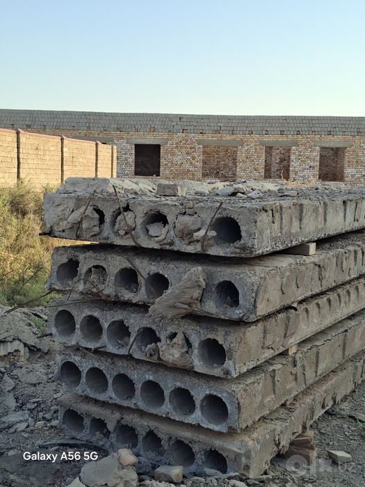 Shepirxam borrrr