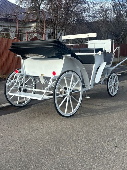 Trasura de  vanazare