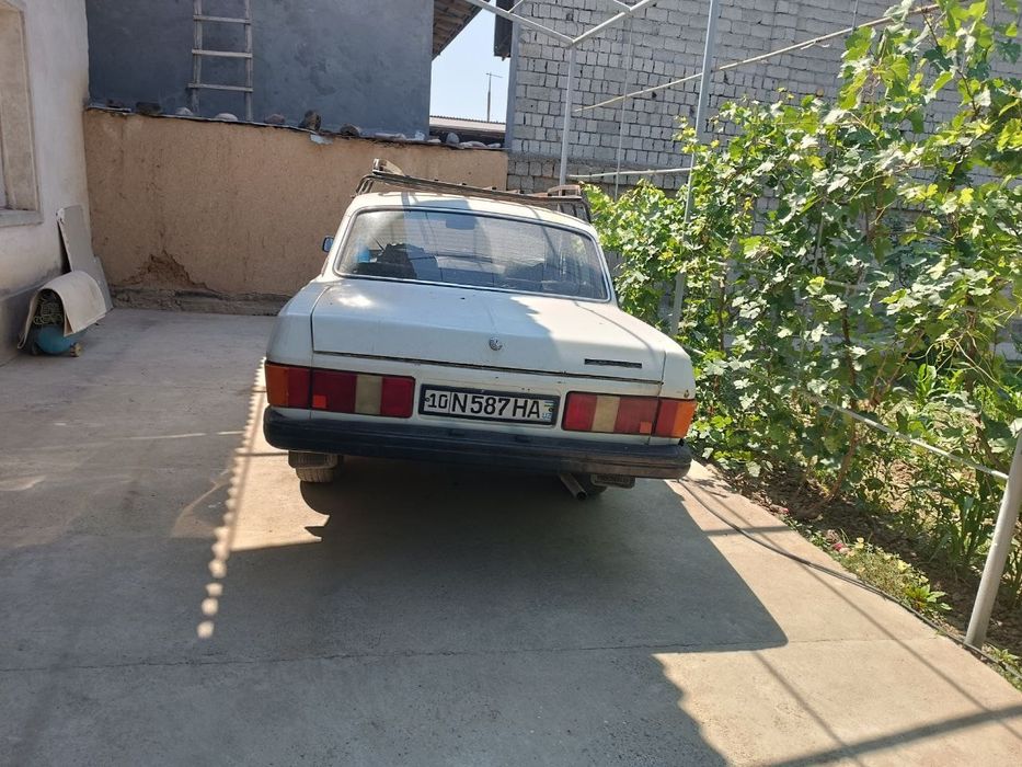 Qiynal magan suvegi butun