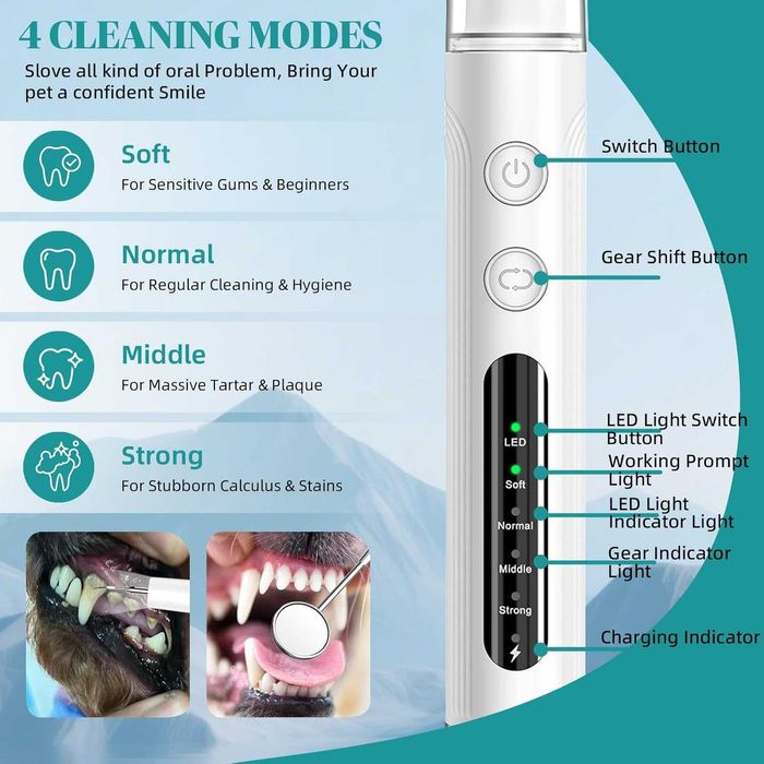 Hauser Комплект за почистване на зъби от зъбен камък и петна, 2 в 1