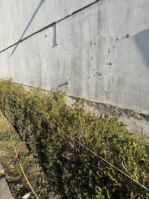 Grădini | Gazon Rulou | Irigații | Intretineri | Pavaj montaj De la A la Z