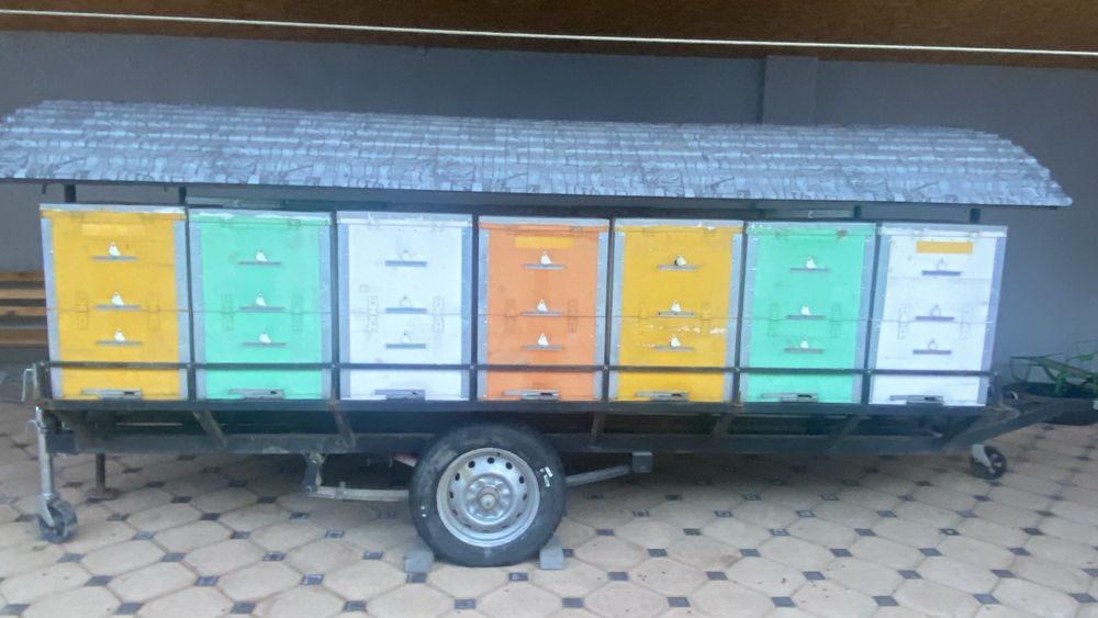 Продается Пасека