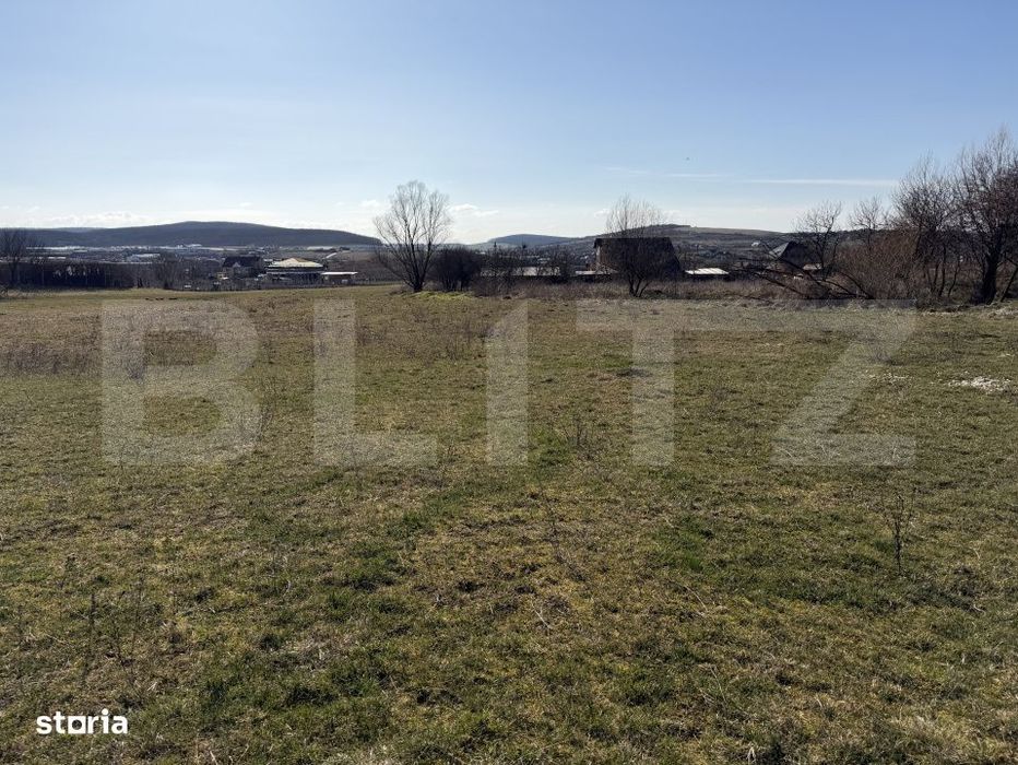 Teren intravilan in localitatea Hereclean in suprafata de 5800 mp
