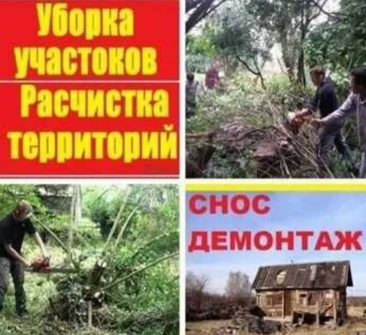 Спил деревьев и выкорчевывание