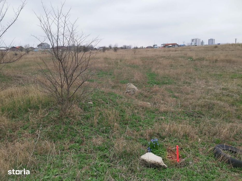 TEREN INTRAVILAN 306 mp – Palazu Mare, Constanta - Ocazie Unica