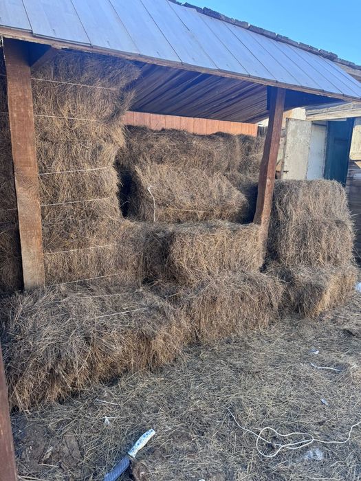 всем доброго время суток