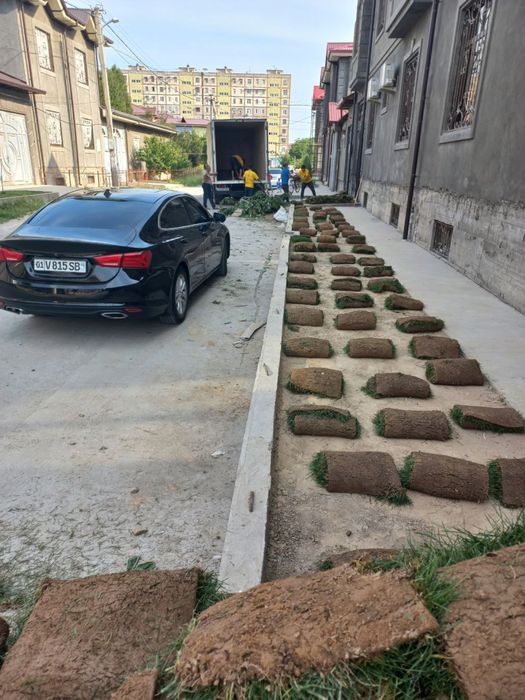 Gazon рулоные газоны доставка и установками