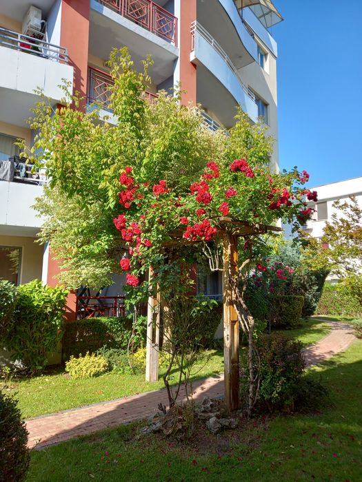 Дава се под наем Едностаен апартамент в к.к. Слънчев бряг - 40 кв.м за 25.5 € - Снимка #5