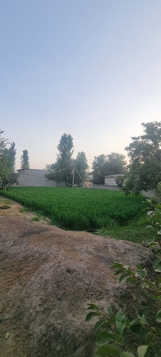 12 сотихли ХОВЛИ сотилади!