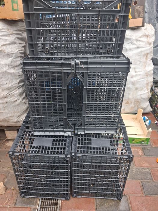 Vând lădițe. Plastic