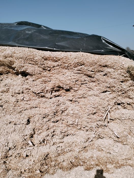 Vând siloz de porumb