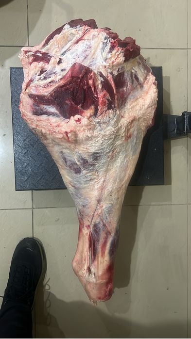 Продам мясо говядины тушами