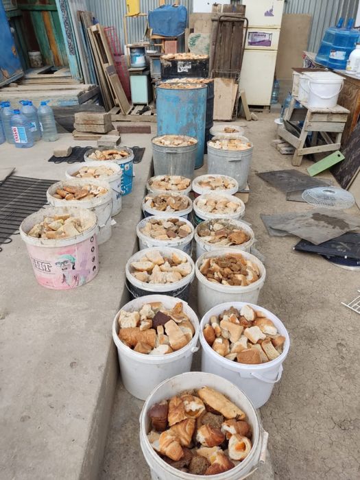 Хлеб для животных, отходы