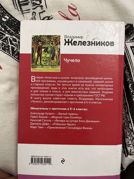 Книга для 5-6 класса