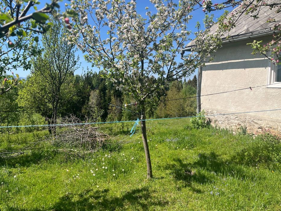 Vand casa cu teren