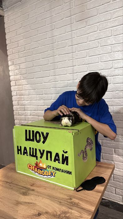 Шоу Нащупай Астана / Косшы / аниматоры