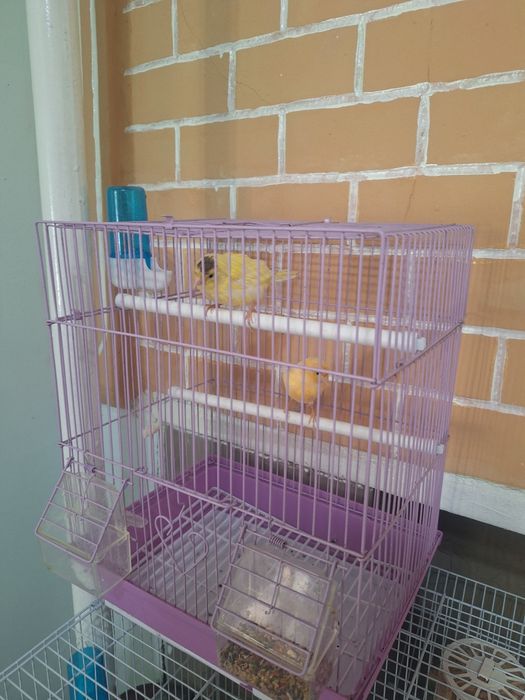 Ассалом алейкум...