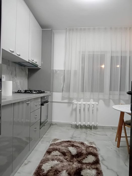 Prima inchiriere, 2 canere Doamna Ghica