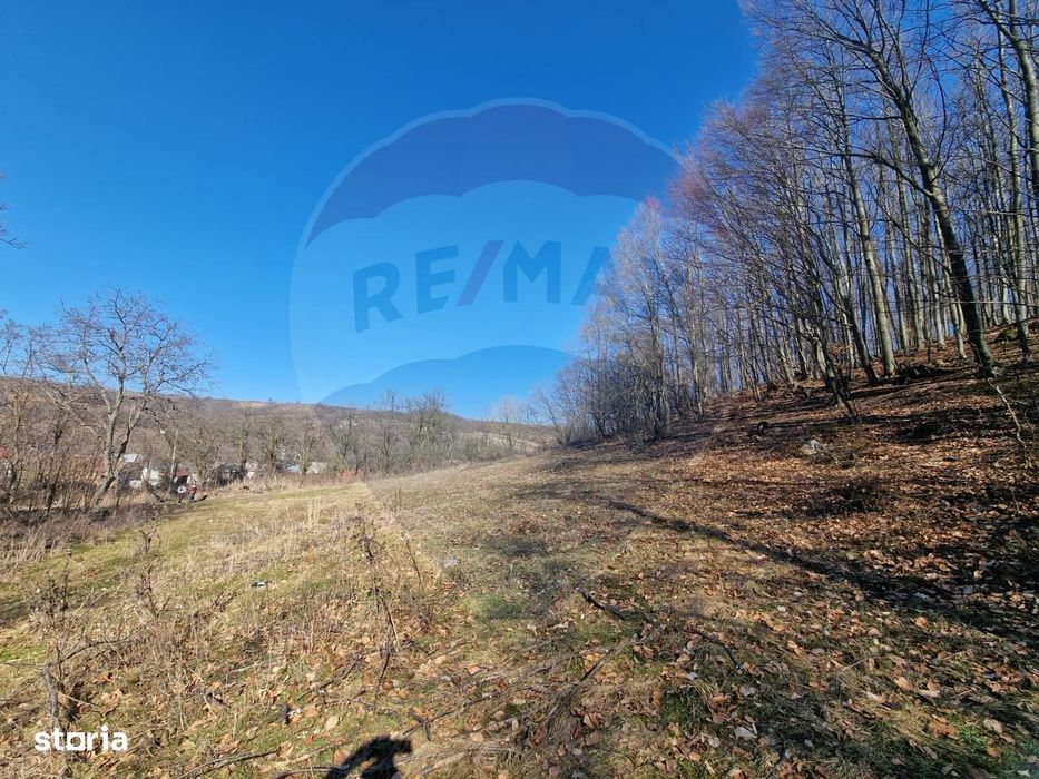 Teren de Vânzare în Pâncești (Sascut)