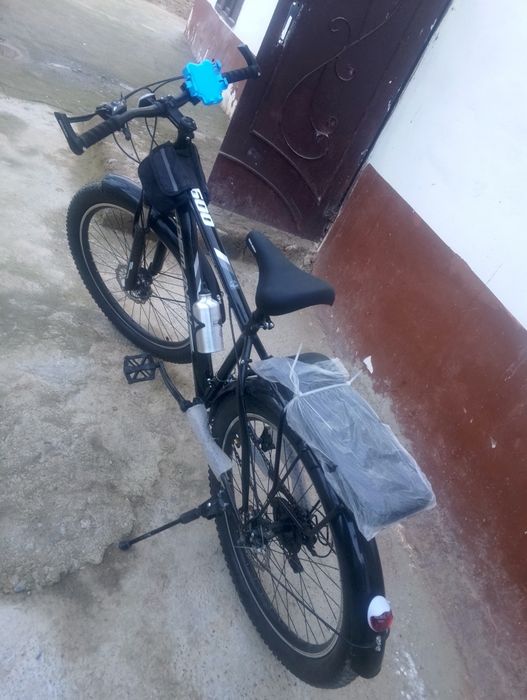 Velik tinchlik yangi