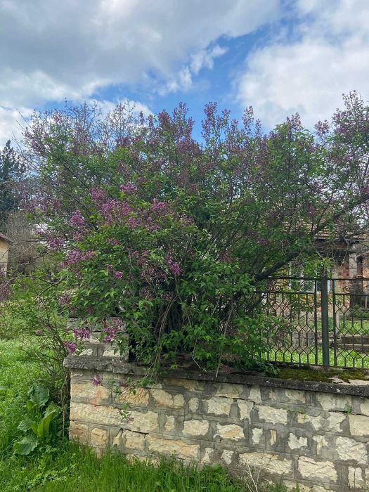 Продава се Къща в с. Камено поле, Област Враца - 220 кв.м за 34 €/кв.м - Снимка #21