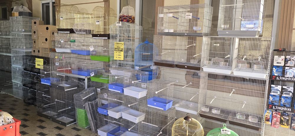 Попугай комбо комплект