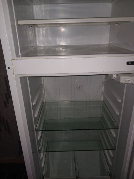 Haladelnik bor sotiladi