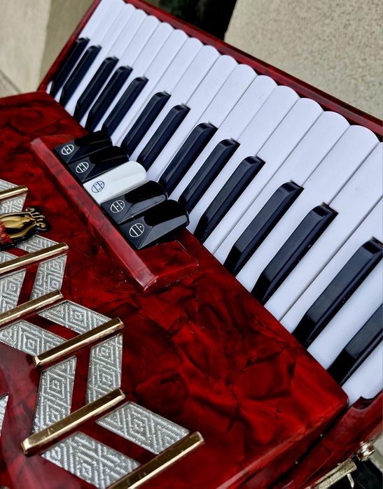 Acordeo Parrot cu 72 basi