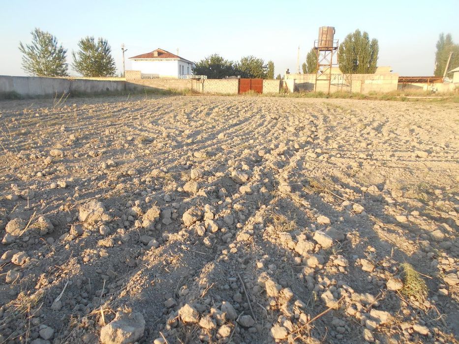 63 сотки Куйи-Чирчик