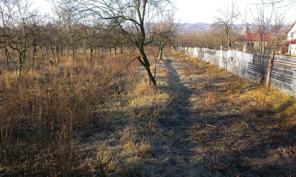 Casă + teren 2935 mp de vânzare Băiculești, DN7C – poziție excelentă