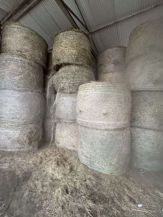 Baloti de paie, lucerna, fan