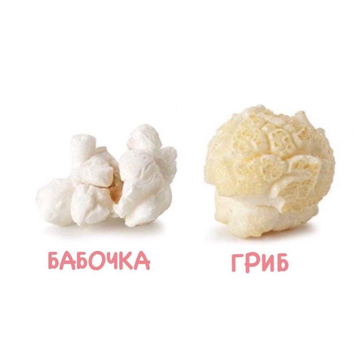 Зерно для попкорна ГРИБ