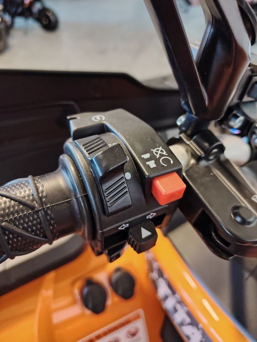 ATV taomotorsport inmatriculabil 250cc nou cu garantie și livrare in toată țara