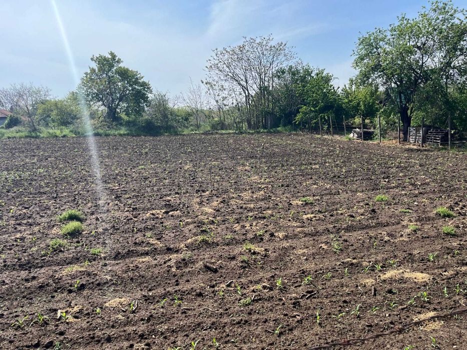 Продава се Парцел в с. Калипетрово, Област Силистра - 956 кв.м за 14 €/кв.м - Снимка #1