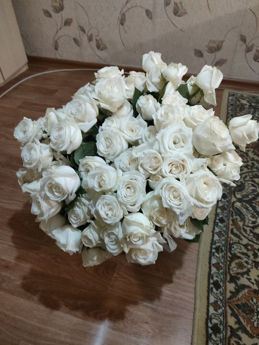 Роза белые новые подареные вечером