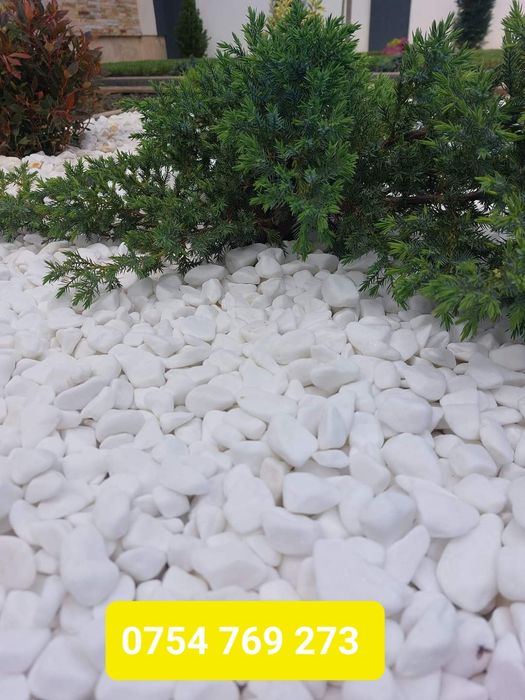 Piatra decorativa marmura alba rotunjita thasoss