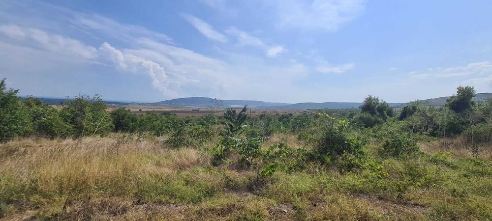 Продава се Парцел в с. Рогачево, Област Добрич - 1400 кв.м за 38 €/кв.м - Снимка #2