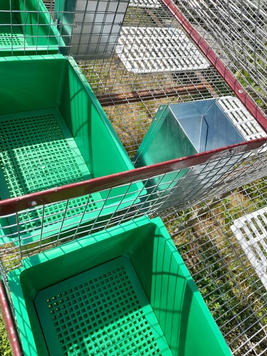 Cusca iepuri pt fatare si tineret